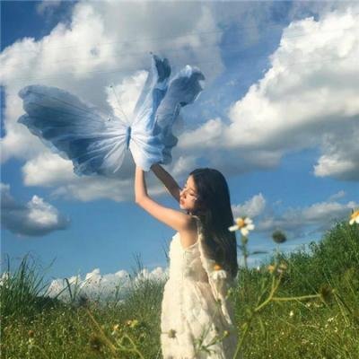 花落莺啼春